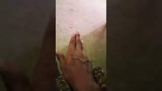 same to same karo #shanthi #shan #suit #funny #sha #funnyvideo @Dar @davedbabu6711