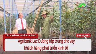 Agribank Lạc Dương tập trung cho vay khách hàng phát triển kinh tế #LamdongTV #tàichínhngânhàng