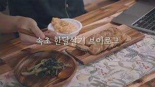 30만원으로 속초 한달살기 8일차 l 국내 여행 브이로그 l 강원도 #한달살기