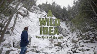 A Wild Idea: The Birth of the APA