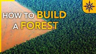 How to Build a Forest