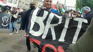 very angry Palestine protestors... lamsey the lamb....and from the biscuit to the tea. lol