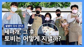  설쌤이 다시 간다! 토비는 어떻게 지낼까? '토비'편 | 설채현 행동학 수의사