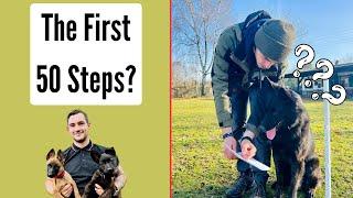 Heeling - The First 50 Steps In The BH Routine