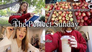 SUNDAY RESET VLOG  grocery shopping, errands, etc.