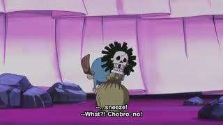 チョニキの可愛すぎるくしゃみ　Chobro’s sneeze