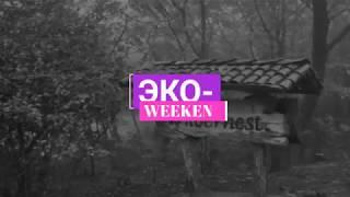 Экскурсия "Эко-weekend в горах" Гоа, Индия (Exursion "Weekend in the mountains" Goa, India)