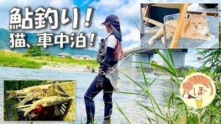 アユ釣りと猫と古民家、夏休みを満喫するぼっち女の車中泊/car camping in japan/old private house/cat/ayu fishing