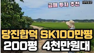 SK산업단지 100만평 300m 바로 옆 시세보다 저렴한 당진합덕 토지물건 4000만원대 소액투자 가능한 보기드문 매물#급매 #당진땅 #당진토지 #급급매 #서해선 #합덕 #합덕역