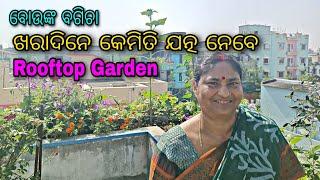 ଖରାଦିନେ କେମିତି ଯତ୍ନ ନେବେ|| Summerday ||Rooftop Garden||ବୋଉଙ୍କ ବଗିଚା ||vlog || jitanshu sekhar odia