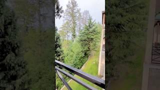 Shogran Valley: A Heaven on Earth #explore #travel #narankagan #nature #mountains #shogran