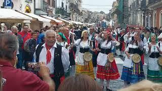 Wine harvest festival in Sicily, Italy. American expats in Sicily.