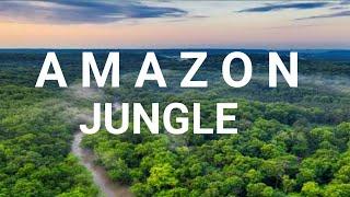 EXPERT Explorer Shares Top Tips for AMAZON JUNGLE Travel