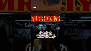 Mr DIY finds under Rs 100/- #shorts #youtubeshorts #mrdiy #ashortoday