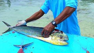 AMAZING INDIAN OCEAN FRESH MAHI MAHI FISH CUTTING SKILLS | FISH CUTTING MALDIVES