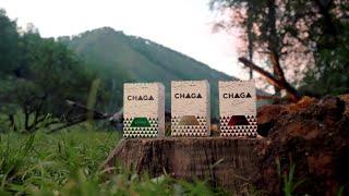 Chaga extract Visterra