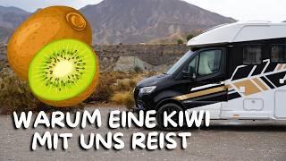 Wir ärgern uns: Wie eine Kiwi unsere Reise verändert hätte Hätten wir das früher gewusst