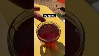 Bee rescue