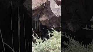 11/1/24 hike Arizona a  opening in cliff wall a hideout for animals #nature #video #canyon #arizona