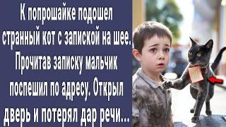 К попрошайке подошел кот с запиской на шее. Прочитав ее поспешил по адресу. Открыл дверь и побледнел