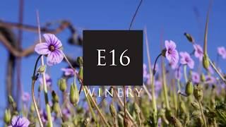 Baby Rattlesnake Vineyard Pruning | Spring 2020
