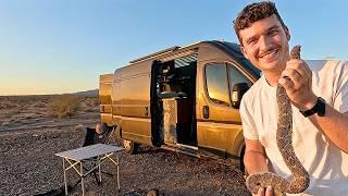 Cooking Rattlesnake, Vanlife Camping In the Desert | 111°F