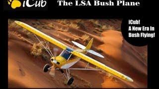 i Cub, Savage i Cub light sport aircraft.