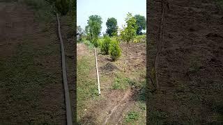 Farm Land #nature #green #village #farm #farming #gardening #garden