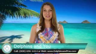Dolphins and You Honolulu Impressive Five Star Review by Gabriel N.