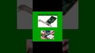 NIC (Network Interface Card)
