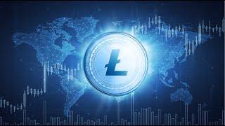 Litecoin HALVING Update! A Look Behind The Scenes...