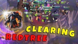 CLEARING REDTREE & FARMING ARCH !! | CHIPS | ZVZ | Albion Online ZVZ