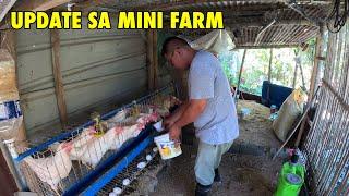 Mini farm update pang small business