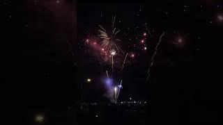 Black Boxx Alphatier #vorschießen  #fireworks #shorts #röderfeuerwerk