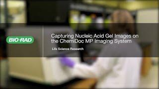 How to Use the New ChemiDoc MP for DNA Gel Imaging