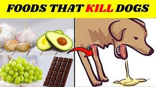 Alert! 22 Common Foods That will KILL Your Dog