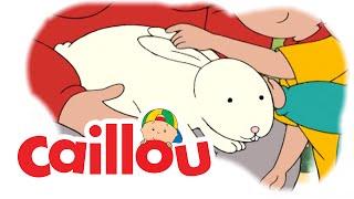 Caillou - Disappearing Carrots  (S03E04) | Videos For Kids