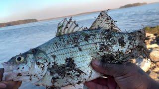 Fishing After A Winter Storm In North Alabama!!