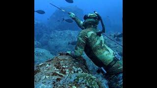 Spearfishing in Hawaii Crystal Clear Waters!