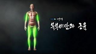 [명의 의학백과] 복부비만과 근육