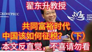 翟东升教授《共同富裕时代，中国该如何征税？》（下集），本文可能争议性较大，请理性参考和讨论！#翟东升 #china #共同富裕 #税金 #中国