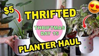 PLANTER POT THRIFT HAUL!!! INDOOR PLANTS & THRIFTED POTS | THRIFTMAS DAY 15