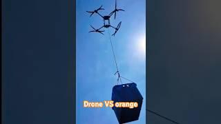 Oranges in the Sky: Drone Orchard Operations