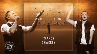 Matt Dubb & Yaakov Shwekey - L'shem Yichud | מאט דאב & יעקב שוואקי - לשם יחוד