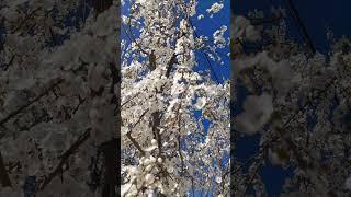 6 Фактов о Коране! Обязан Знать каждый Мусульманин. | #хадисы_пророка_мухаммада #хадисы #религия