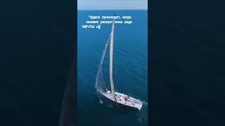 #жизнь #философия #кмечте #человек #природа