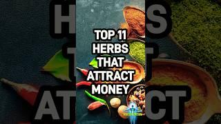 Herbs That Attract Money  Fast! (TOP 11) #shorts #youtubeshorts #attractmoney #attractwealth