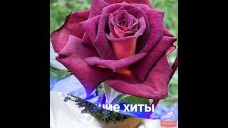ЛУЧШИЕ ХИТЫ СЕРГЕЙ ОДИНЦОВ  4 Ч