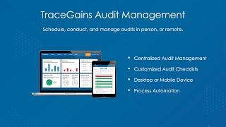 Audit Management