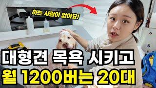 트럭에서 대형견 목욕 시키고 월 1200만원 버는 20대 여사장님